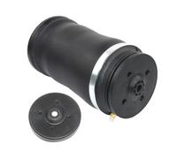 Ammortizzatore Borsa Posteriore L/R Molla Sospensione Pneumatica Per Benz GL X164 M. W164 W166 1643200725 1643200925 1663200325