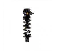 Ammortizzatore Cane Creek DB Coil IL G2 Trunnion 165x45 Molla 4 Vie Factory Tune
