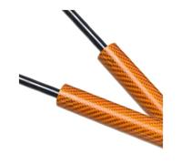 Ammortizzatore Cofano Anteriore Per Nissan Per Sentra Per Sylphy Per B18 2020-presente Anteriore Del Cappuccio Cofano Ascensore Supporto Ammortizzatore Prop Aste