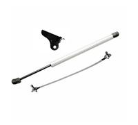 Ammortizzatore Cofano Per Ford Per Fiesta 5th Classic Ikon 2002-2008 Cofano Anteriore Modifica Cilindro Ammortizzatore A Gas Supporto Pistone Ammortizzatore(Silver Carbon Fiber)