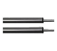 Ammortizzatore Cofano Posteriore Per Accord 8th 2008 2009-2015 Per Per TSX Spirior Supporti Sollevamento Copertura Anteriore Modifica A Gas Molla Ammortizzatore Cofano Montanti(Black Carbon Fiber)