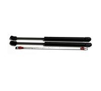 Ammortizzatore Cofano Posteriore Per Ford Per Mustang 2005 2006 2007 2008 2009 2010 2011 2012 2013 2014 2015 2016 2017 2018 2019 Supporti Sollevamento Barre Duomi Supporto Cofano