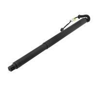 Ammortizzatore Cofano Posteriore per SKODA KAROQ 2018- Sinistra NTY AE-SK-033