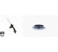 Ammortizzatore + Cuscinetto a rulli ammortizzatore MONROE per KIA CARENS II,
