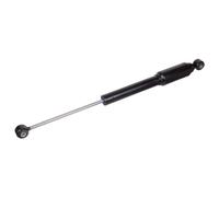 FEBI BILSTEIN 100867 Ammortizzatore sterzo