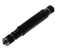 DT Spare Parts 1.25036 Ammortizzatore