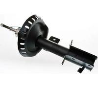 Ammortizzatore Dx Spina inferiore DSB186G DENCKERMANN per FIAT PEUGEOT CITROËN