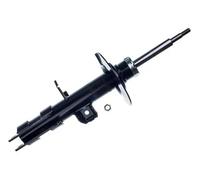 Ammortizzatore Dx Spina inferiore DSB292G DENCKERMANN per BMW X5