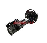 FAST FT11176 Ammortizzatore