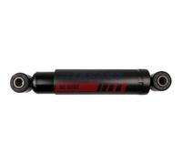 Ammortizzatore Assale anteriore Dx Occhiello superiore FT11273 FAST per IVECO