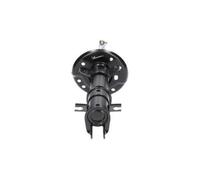 KAVO PARTS Ammortizzatore anteriore SSA-10098 per FIAT Bravo II 198