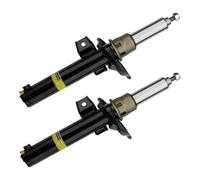 Ammortizzatore for sospensioni auto compatibile con Audi A3 S3 RS3 2015-2022 8V0413029 8V0413029P 8V0413029K 8V0413029J 1 coppia di ammortizzatori anteriori con magnete