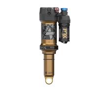 Ammortizzatore Fox Factory Float X 2pos-Adj Evol LV Trunnion Métrique 2025 Doré