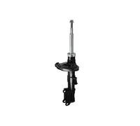Ammortizzatore, hard 810 359, per City 450