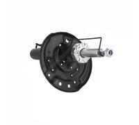 Ammortizzatore Frontale d. veicolo 814 497 HART