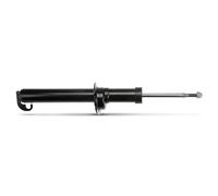 Ammortizzatore TRW JGS165S