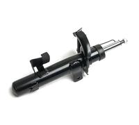 Ammortizzatore Frontale d. veicolo OYO20A9052-OYO OYODO