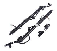 Ammortizzatore Gas Portellone Posteriore 6892009080 6891009110 2 Pezzi Ammortizzatori Gas Portellone Posteriore Elettrico Per Toyota Per Rav4 Dohc Limited Xle 2013-2016 Pbd004 6892009011