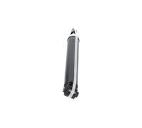 Ammortizzatore Kavo Parts SSA-10069