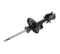 Ammortizzatore Magneti Marelli Anteriore Destro 51865489