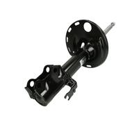 Ammortizzatore Assale anteriore Sx Spina superiore AG2123MT Magnum Technology