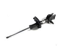 Ammortizzatore MAGNUM TECHNOLOGY AG3050MT destro