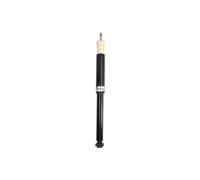 Ammortizzatore MAGNUM TECHNOLOGY AG3066MT