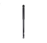 Ammortizzatore MAGNUM TECHNOLOGY AG8031MT