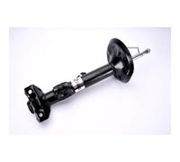 Ammortizzatore MAGNUM TECHNOLOGY AGB015MT destro