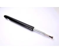 Ammortizzatore MAGNUM TECHNOLOGY AGB020MT BMW 5 (E34) 2 1987-199