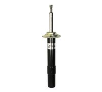 Ammortizzatore MAGNUM TECHNOLOGY AGB082MT destro