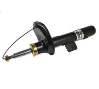 Ammortizzatore MAGNUM TECHNOLOGY AGC009MT CITROEN ZX (N2) 2 1992-1997