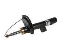 Ammortizzatore MAGNUM TECHNOLOGY AGC009MT destro