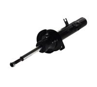 Ammortizzatore MAGNUM TECHNOLOGY AGC031MT destro