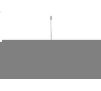 Ammortizzatore MAGNUM TECHNOLOGY AGF101MT FIAT LINEA (323_, 110_) 1.4 2007-