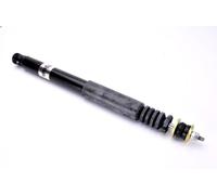 Ammortizzatore MAGNUM TECHNOLOGY AGM036MT per CLASSE C (W202) 2 1994-2