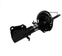 Ammortizzatore MAGNUM TECHNOLOGY AGR136MT per KANGOO BE BOP (KW0/1_) 1.6 2009-