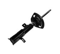 Ammortizzatore MAGNUM TECHNOLOGY AGY030MT destro