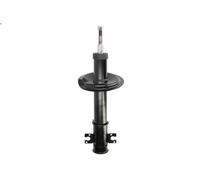 Ammortizzatore MAGNUM TECHNOLOGY AHP088MT per CITROEN JUMPY I (U6U_) 2 2000-2006