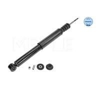 Meyle Ammort Post Re Clio Iii 16-267250009