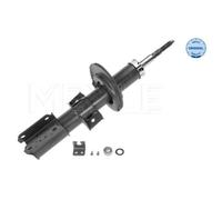 Meyle Ammoriz Ant Vo C70 - S70 5266130000