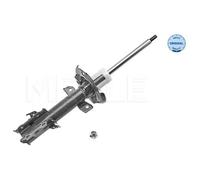 MEYLE Ammortizzatore per FORD 726 623 0052
