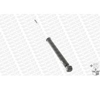 Monroe 23910 Ammortizzatore, Set di 2