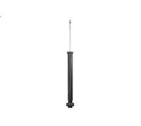 Ammortizzatore MONROE 376195SP AUDI Q3 (F3B) 2 2018-2021