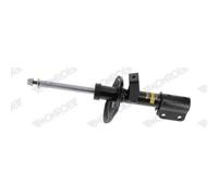 1 Ammortizzatore Monroe Spectrum 742271sp