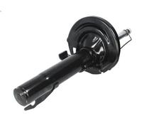 Ammortizzatore MONROE G16387 RENAULT MEGANE II (BM0/1_, CM0/1_) 2 2002-2008