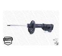 Ammortizzatore MONROE G8169