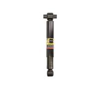Ammortizzatore MONROE T1353