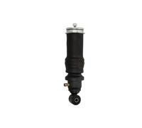 Ammortizzatore, montaggio cabina MAGNUM TECHNOLOGY MC146