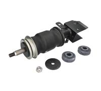 Ammortizzatore, montaggio cabina MONROE CB0070